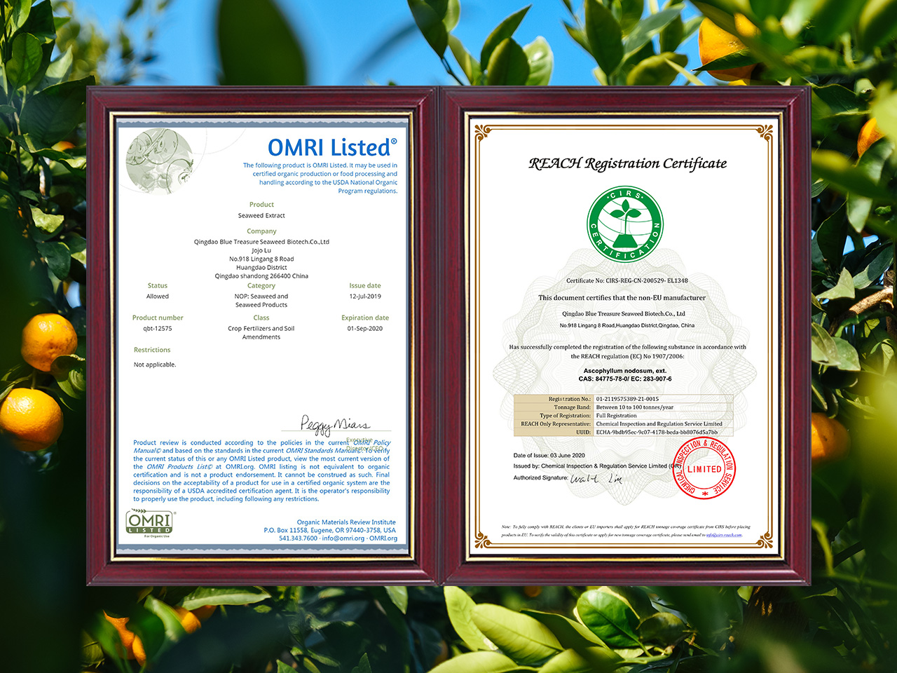 美国OMRI认证,欧盟REACH认证