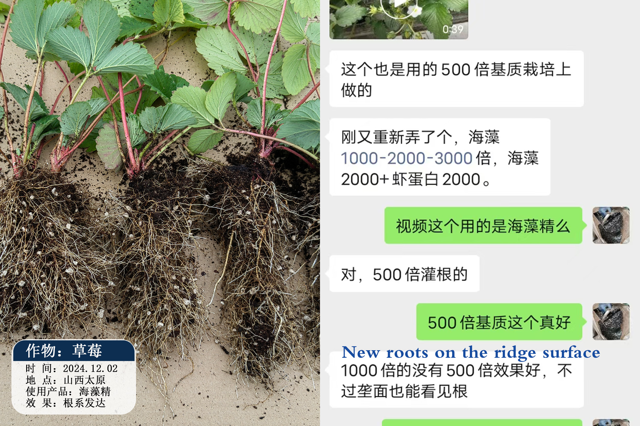 微信图片_20250110103006.jpg